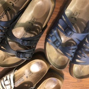 Betula by Birkenstocks